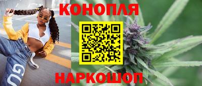 шишки Коммунар