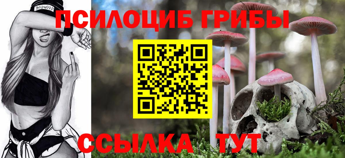 Галлюциногенные грибы GOLDEN TEACHER  Вход с VPN  Красноармейск 